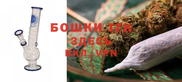 винт Абаза