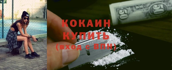 дживик Абинск