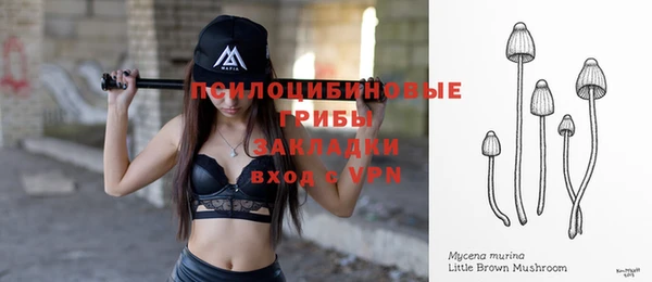 винт Абаза