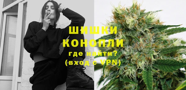 дживик Абинск