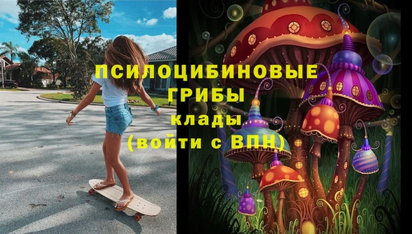 винт Абаза