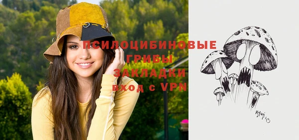 винт Абаза